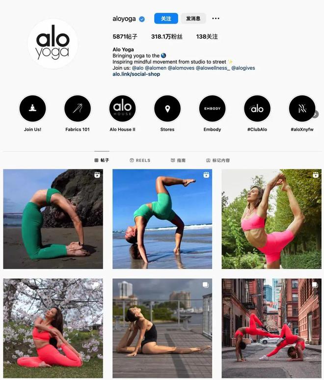 下一个lululemon？同样来自北美的小众瑜伽品牌aloyoga发力赶超(图7)