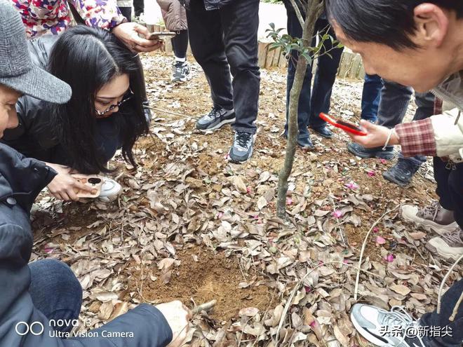 澧县澧南镇中药材种植培训助力就业(图3)